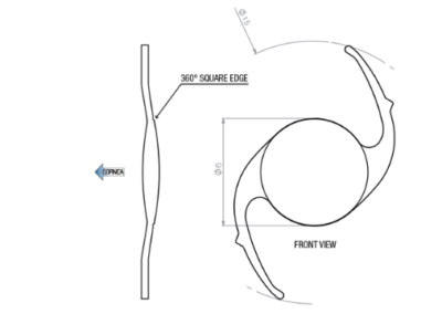 CAMELLENS Primary Lens